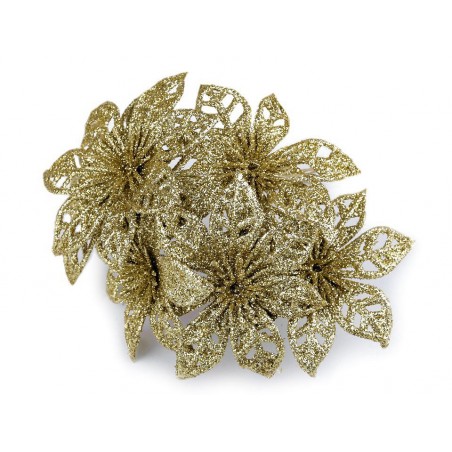 Květ vánoční hvězda zlatá