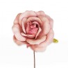 Růže růžová zápich 20 cm