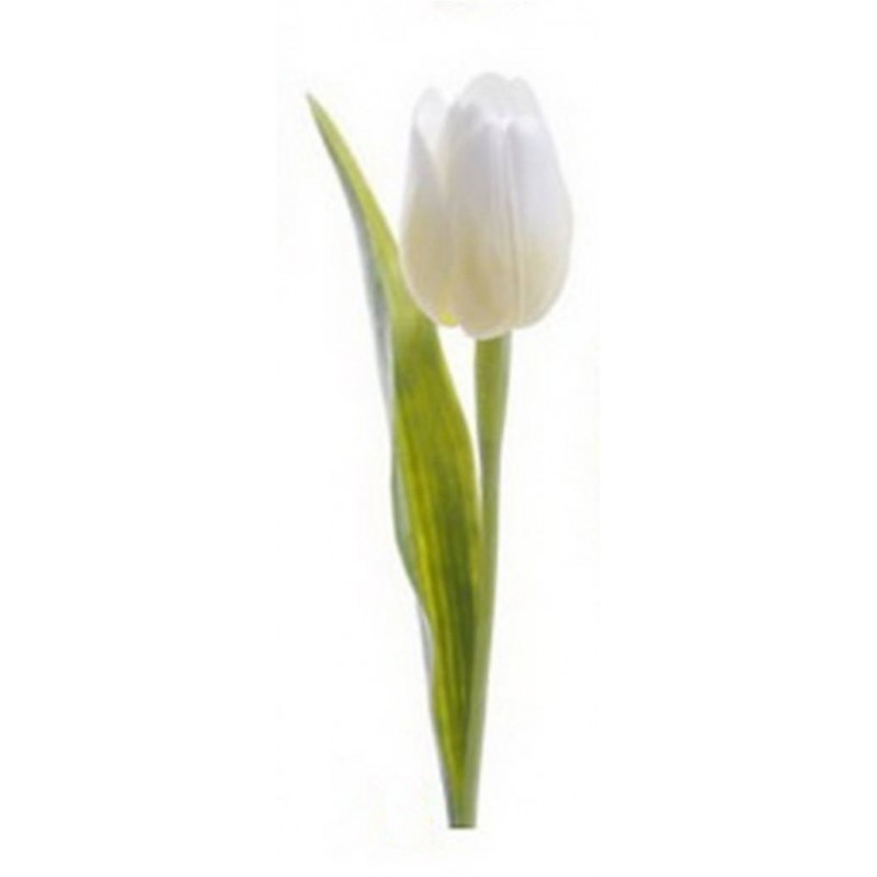 Tulipán na stonku bílo-krémový