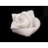 Květ růže bílá 
